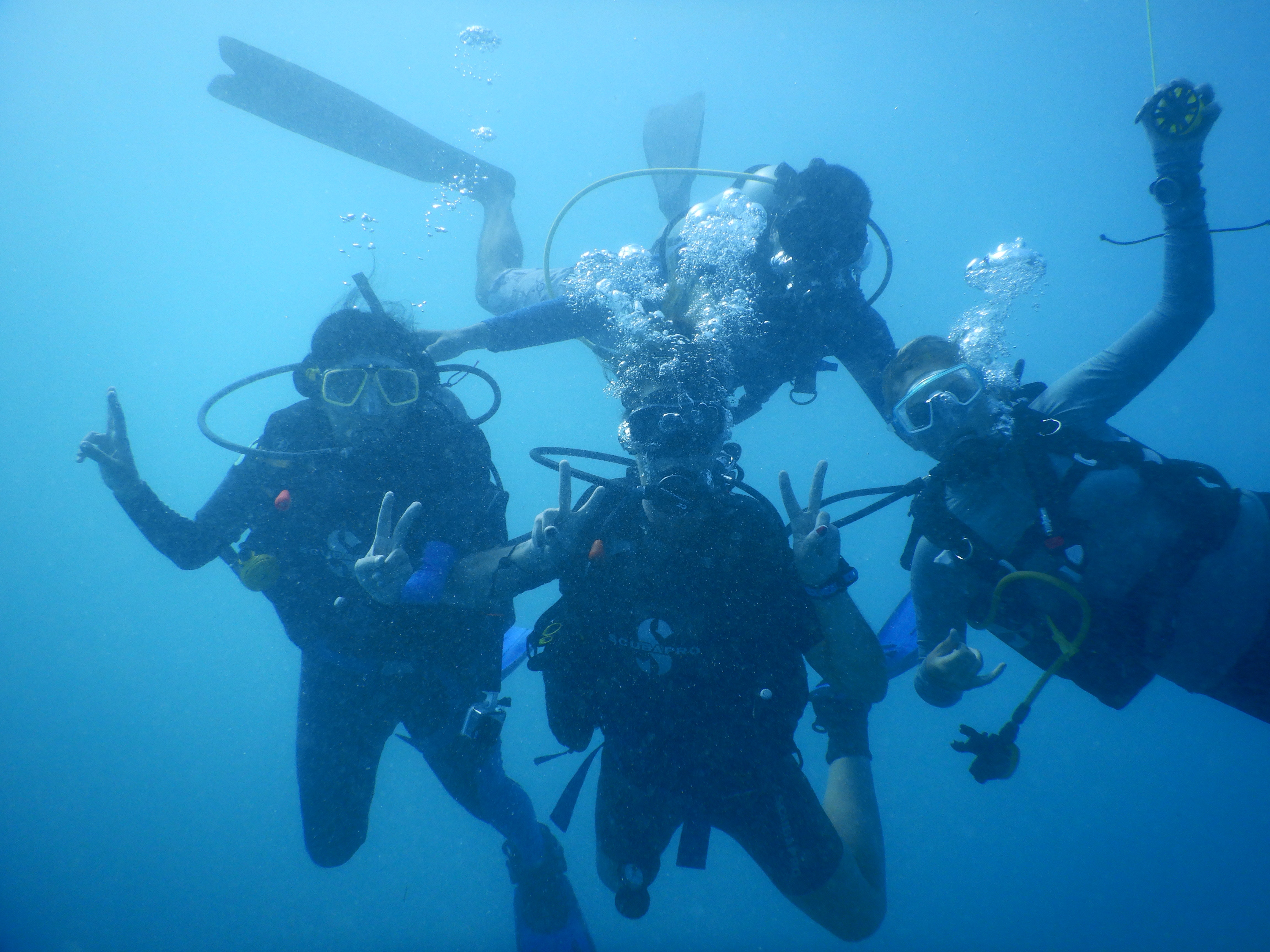 Diver group