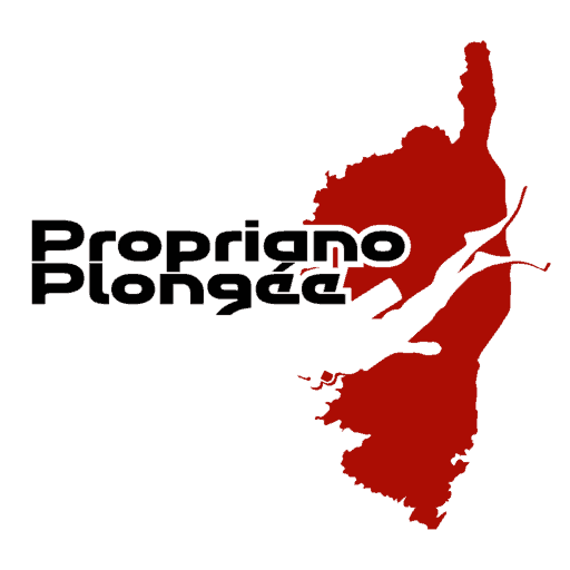 Logo Propriano Plongée Corse