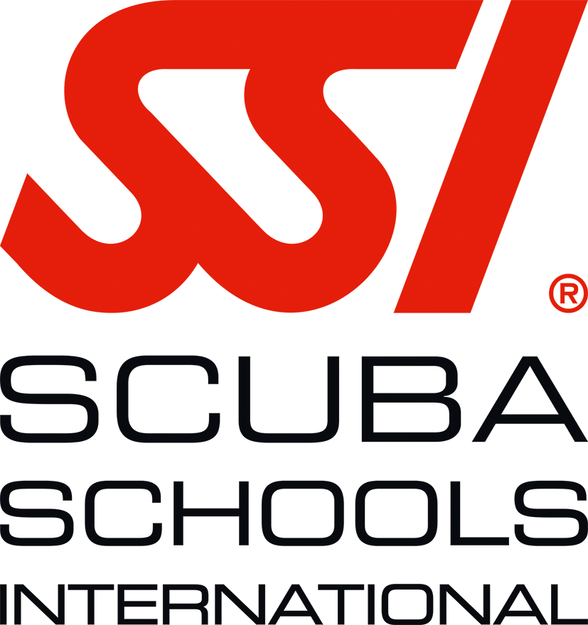 Logo SSI