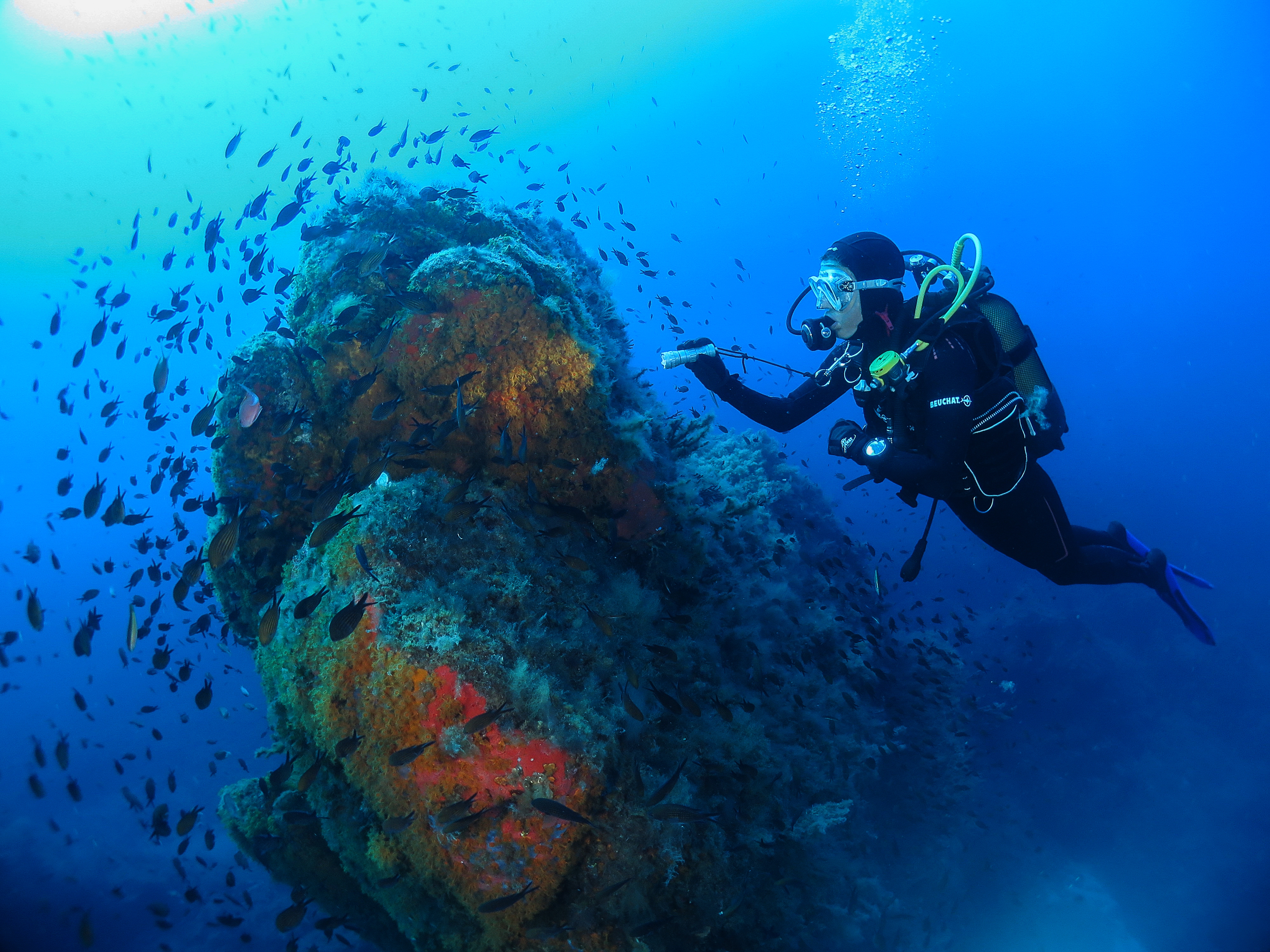 Snorkeling diver