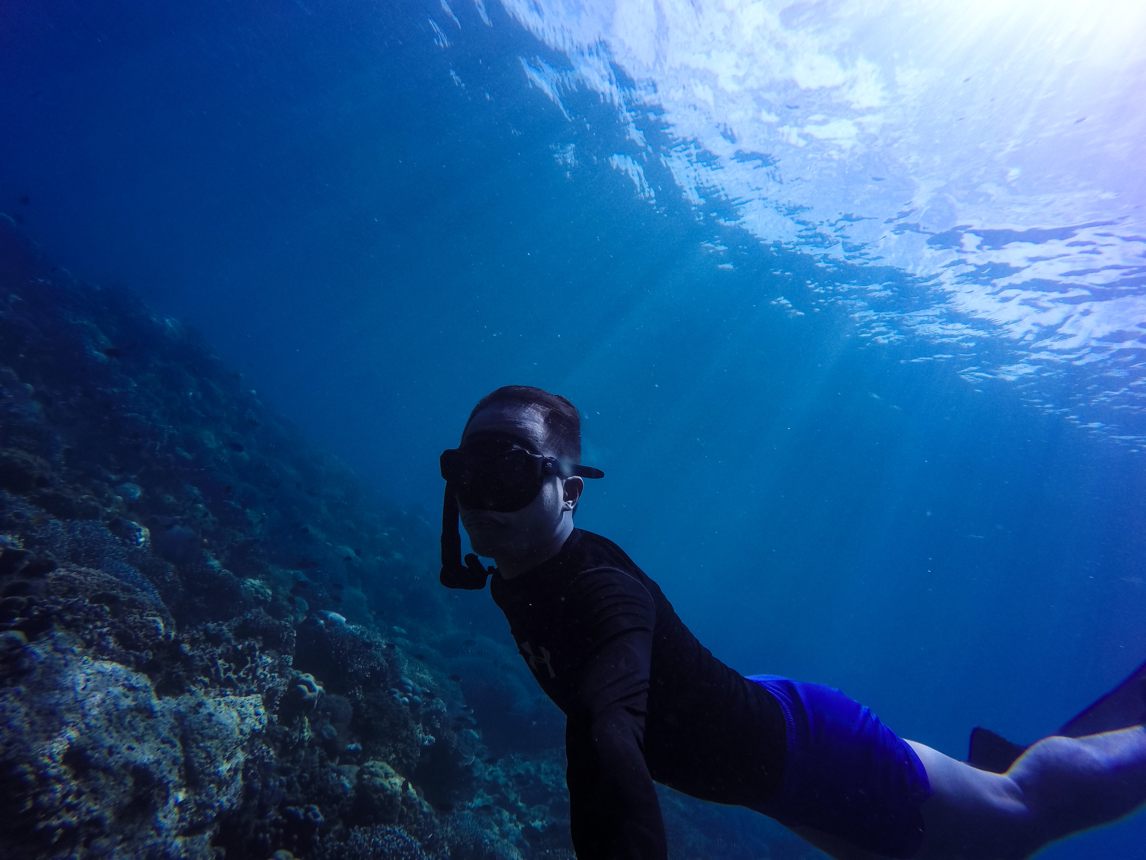 Snorkeling diver