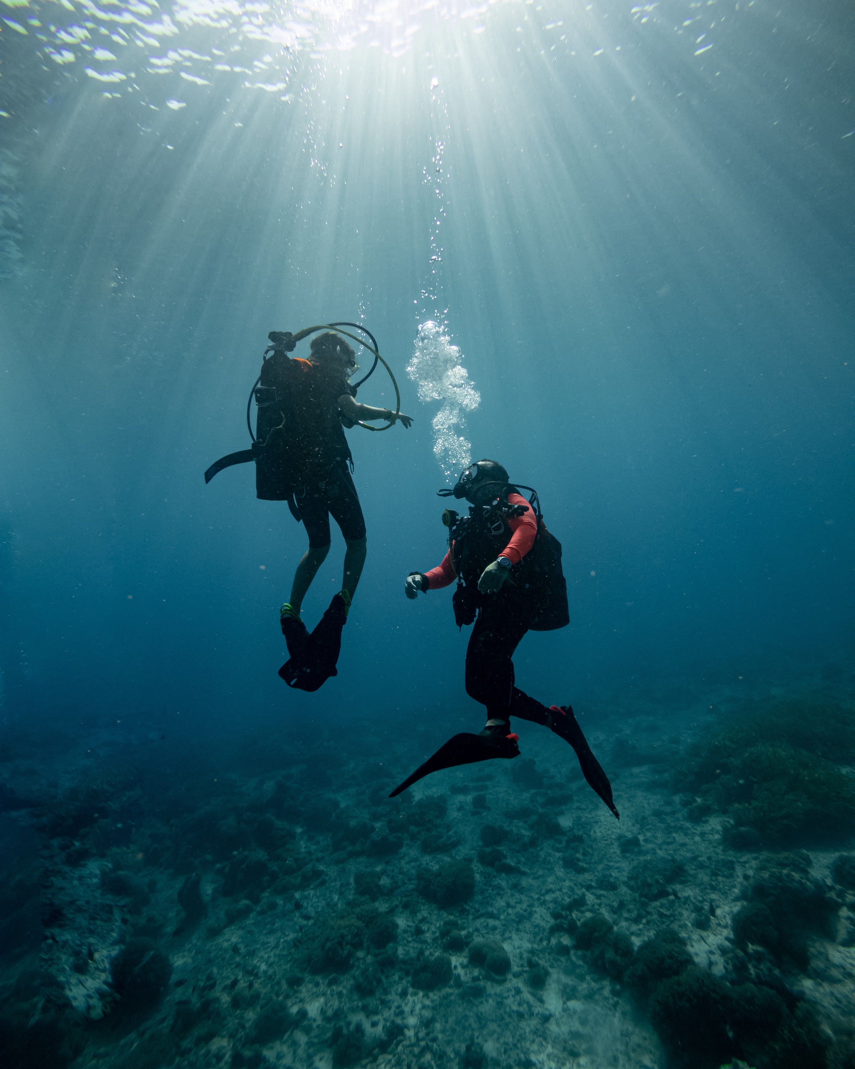 Formation de plongee sous-marine